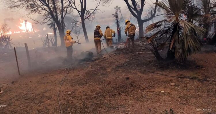 Bomberos y aviones hidrantes combatían un incendio en la zona de San Clemente