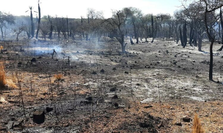 Imputaron por incendio doloso al detenido en Carlos Paz que prendió "una fogata para hacer café"