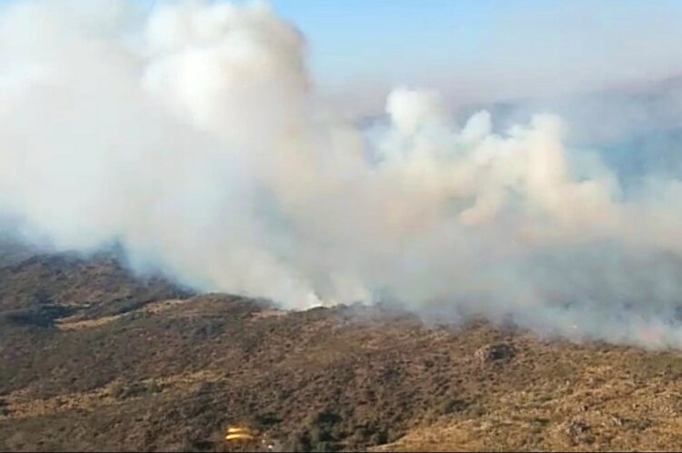 Los incendios forestales fueron controlados y ya no quedan focos activos