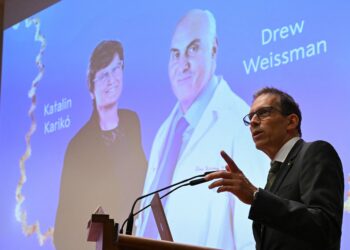 El Premio Nobel de Medicina fue para dos científicos que posibilitaron la vacuna contra el Covid-19