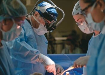 El Incucai remarcó que el fallecimiento debe ser en terapia intensiva para que haya donación de órganos