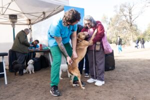 Aplican dosis contra la rabia de manera gratuita en perros y gatos