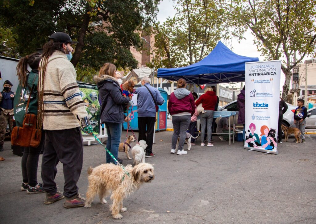 Aplican dosis contra la rabia de manera gratuita en perros y gatos