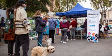 Aplican dosis contra la rabia de manera gratuita en perros y gatos