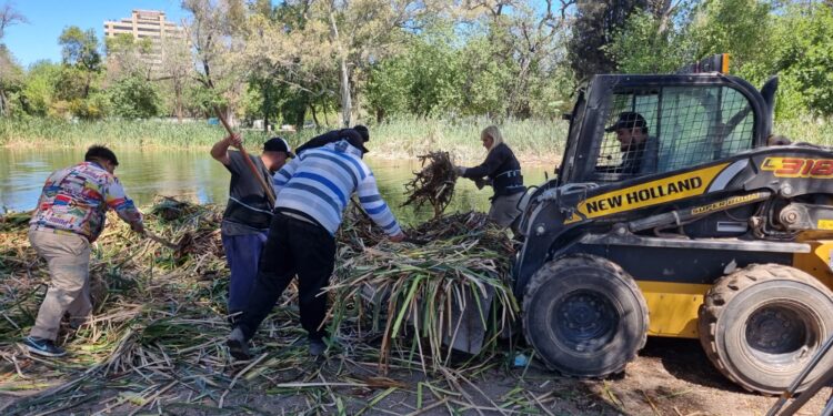 Siguen en marcha las labores de limpieza en la laguna del Parque Sarmiento