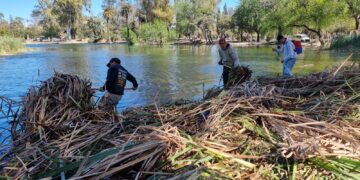 Siguen en marcha las labores de limpieza en la laguna del Parque Sarmiento