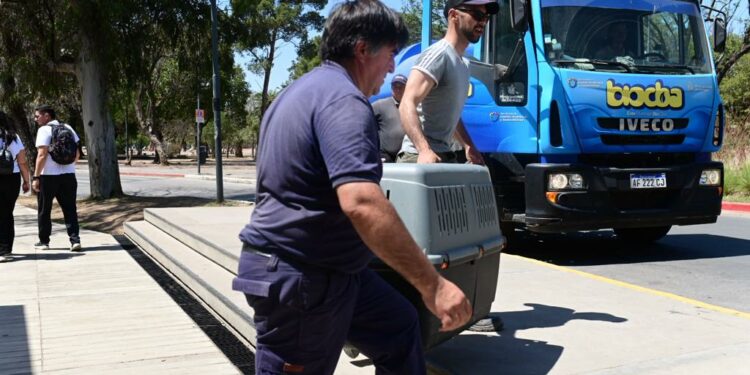 Veterinarios municipales colaboran en el rescate y atención médica a los animales afectados por los incendios