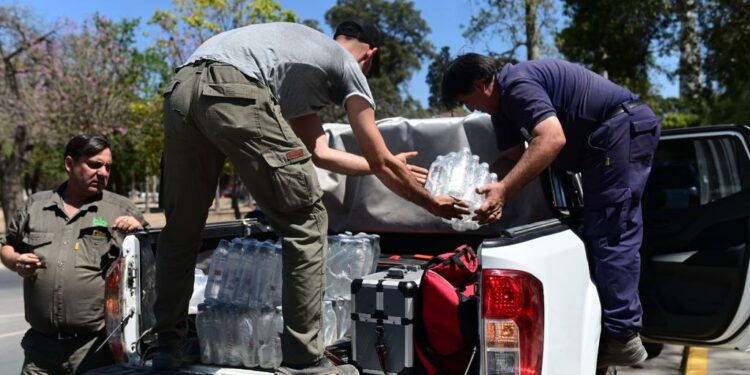Veterinarios municipales colaboran en el rescate y atención médica a los animales afectados por los incendios