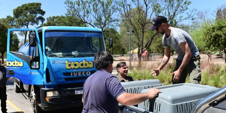 Veterinarios municipales colaboran en el rescate y atención médica a los animales afectados por los incendios
