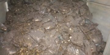 ¿Adivinarías cuánto valen 28 toneladas de viejos cospeles?