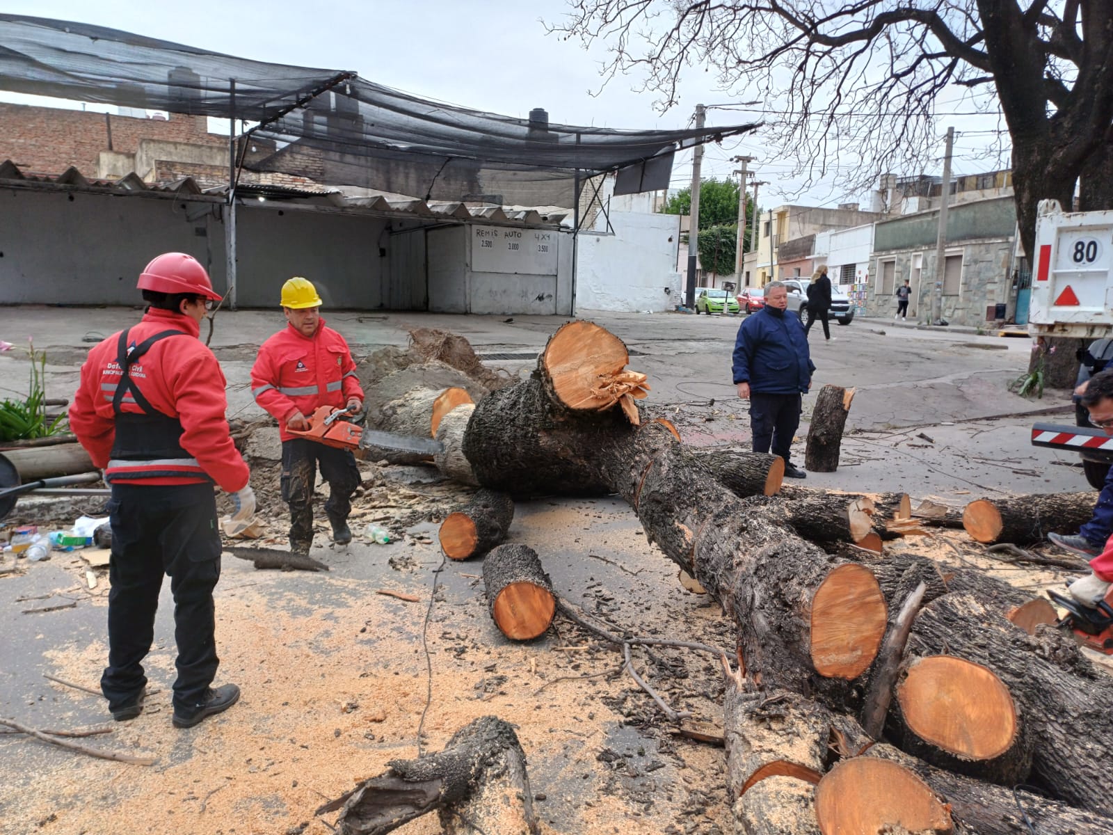 Los fuertes vientos causaron estragos en Córdoba