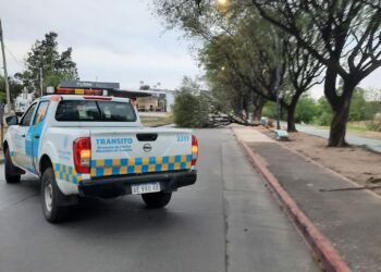 Los fuertes vientos causaron estragos en Córdoba