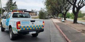 Los fuertes vientos causaron estragos en Córdoba