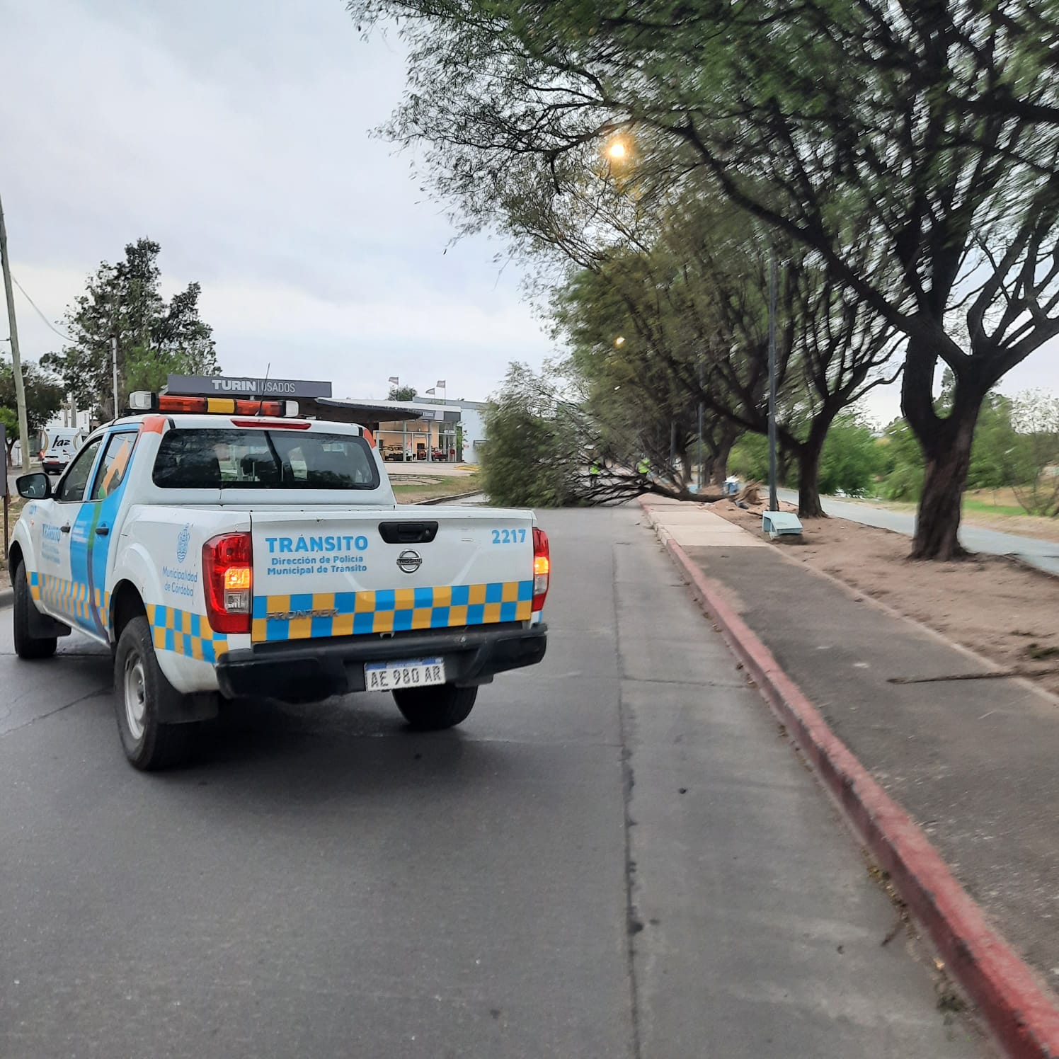 Los fuertes vientos causaron estragos en Córdoba