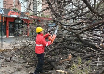 Los fuertes vientos causaron estragos en Córdoba