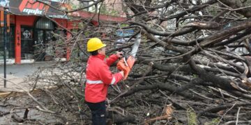 Los fuertes vientos causaron estragos en Córdoba