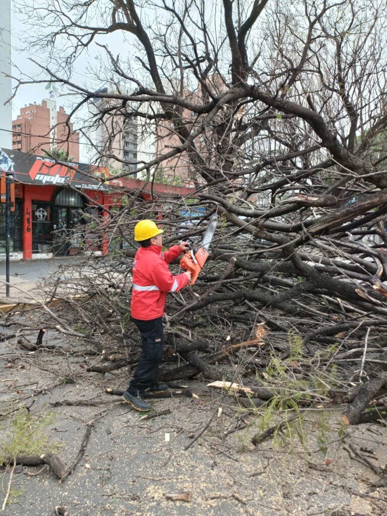 Los fuertes vientos causaron estragos en Córdoba