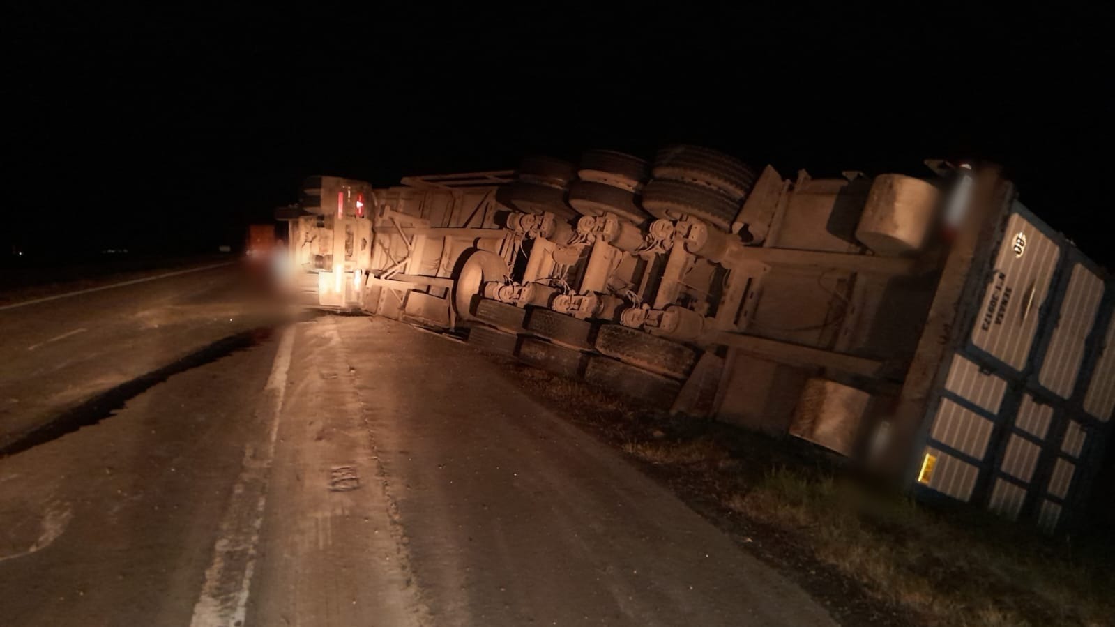 Un camión cargado con más de 100 cerdos volcó sobre la ruta