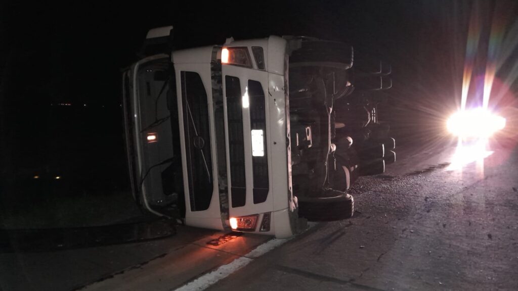 Un camión cargado con más de 100 cerdos volcó sobre la ruta