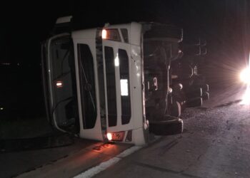 Un camión cargado con más de 100 cerdos volcó sobre la ruta