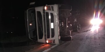 Un camión cargado con más de 100 cerdos volcó sobre la ruta