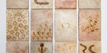 Experiencias locales