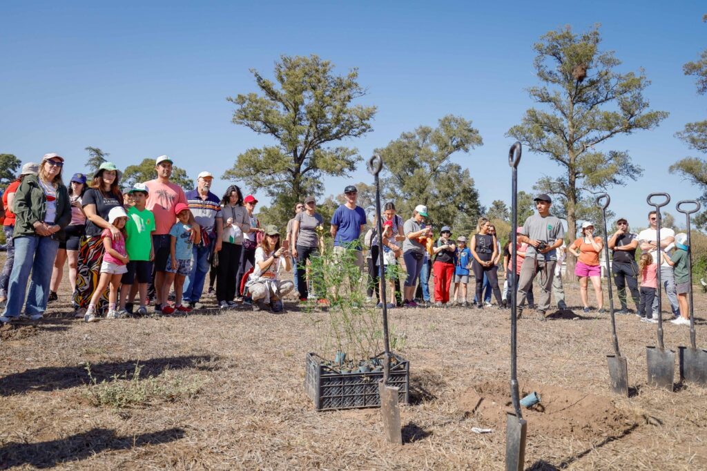 El Banco de Córdoba plantó 2.500 algarrobos