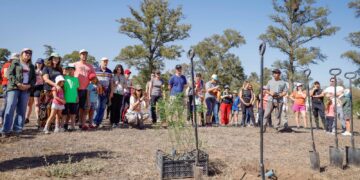 El Banco de Córdoba plantó 2.500 algarrobos