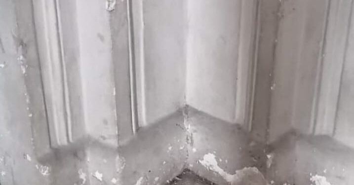 Reiterado reclamo por las condiciones edilicias del colegio Alejandro Carbó