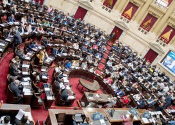 Diputados aprobó el proyecto de “Compre sin Iva”