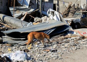 Biden y líderes de Medio Oriente suspenden cumbre luego de mortal bombardeo a hospital en Gaza