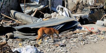 Biden y líderes de Medio Oriente suspenden cumbre luego de mortal bombardeo a hospital en Gaza