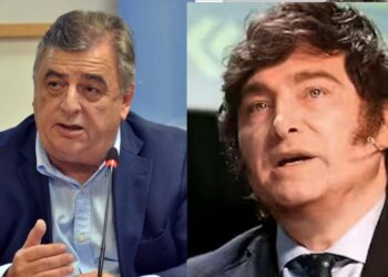 Negri criticó a Milei tras su declaración sobre la presidencia de Alfonsín