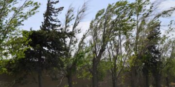 Con la posible llegada de tormentas y fuertes vientos, así sigue el tiempo en Córdoba