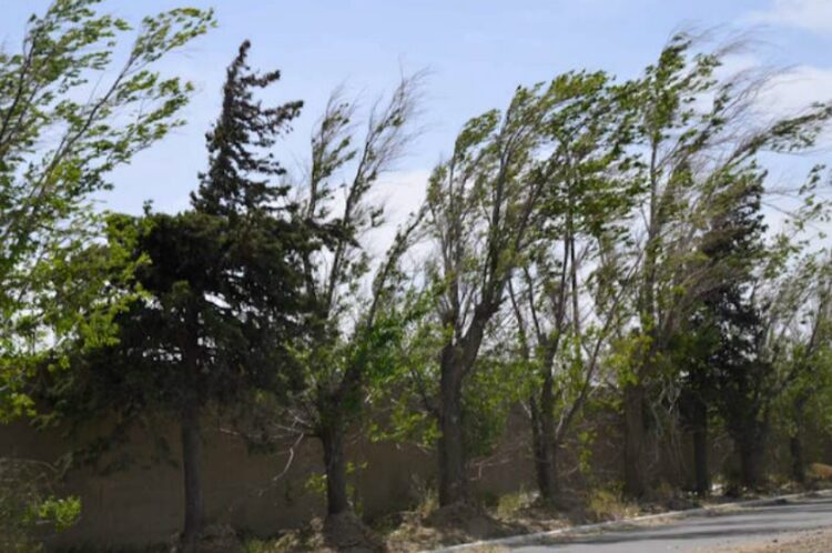 Con la posible llegada de tormentas y fuertes vientos, así sigue el tiempo en Córdoba