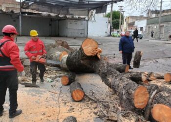 Más de 200 incidentes tras los fuertes vientos en la ciudad