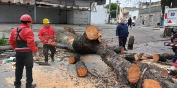 Más de 200 incidentes tras los fuertes vientos en la ciudad