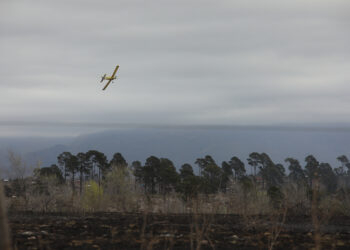 Están contenidos los incendios de Icho Cruz y Berrotarán