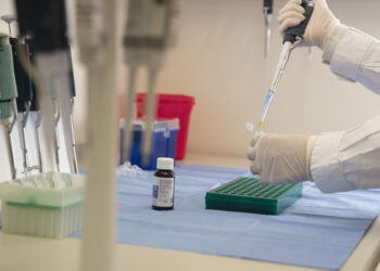 La Anmat aprobó la venta del primer aceite de cannabis producido en Argentina