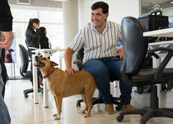 Un área de la UNC permite a los trabajadores llevar a sus mascotas para crear un «clima de bienestar»