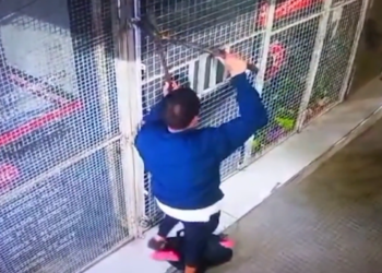 Un reconocido local de informática en Alberdi fue víctima de un robo millonario