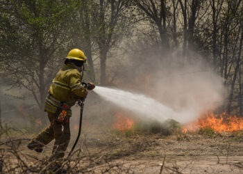 Por altas temperaturas, hay alerta por riesgo de incendio extremo en toda la provincia