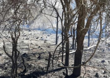 Controlan con éxito el incendio en San Pedro Viejo del norte provincial