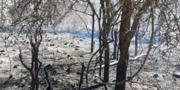 Controlan con éxito el incendio en San Pedro Viejo del norte provincial