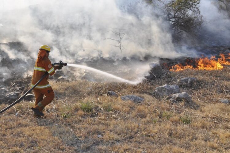 Bomberos y aviones hidratantes combaten un importante incendio en San Pedro Viejo