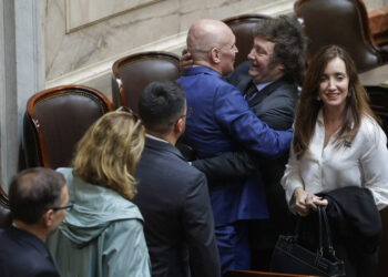 Milei anticipó que Argentina vivirá una “estanflación” en el inicio del nuevo Gobierno