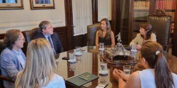 Todos los tribunales provinciales ya pueden acceder a la cautelar web