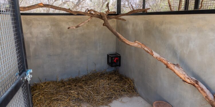 Córdoba inaugurará el primer hospital público para animales de la provincia