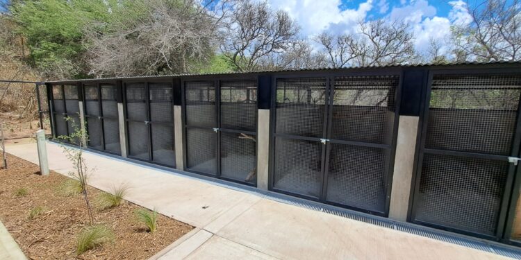 Córdoba inaugurará el primer hospital público para animales de la provincia