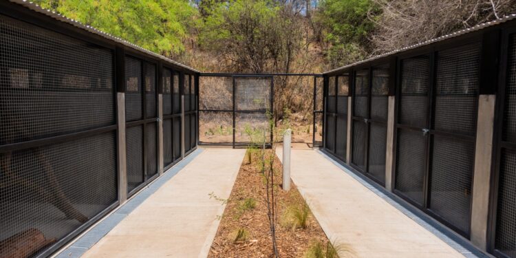 Córdoba inaugurará el primer hospital público para animales de la provincia